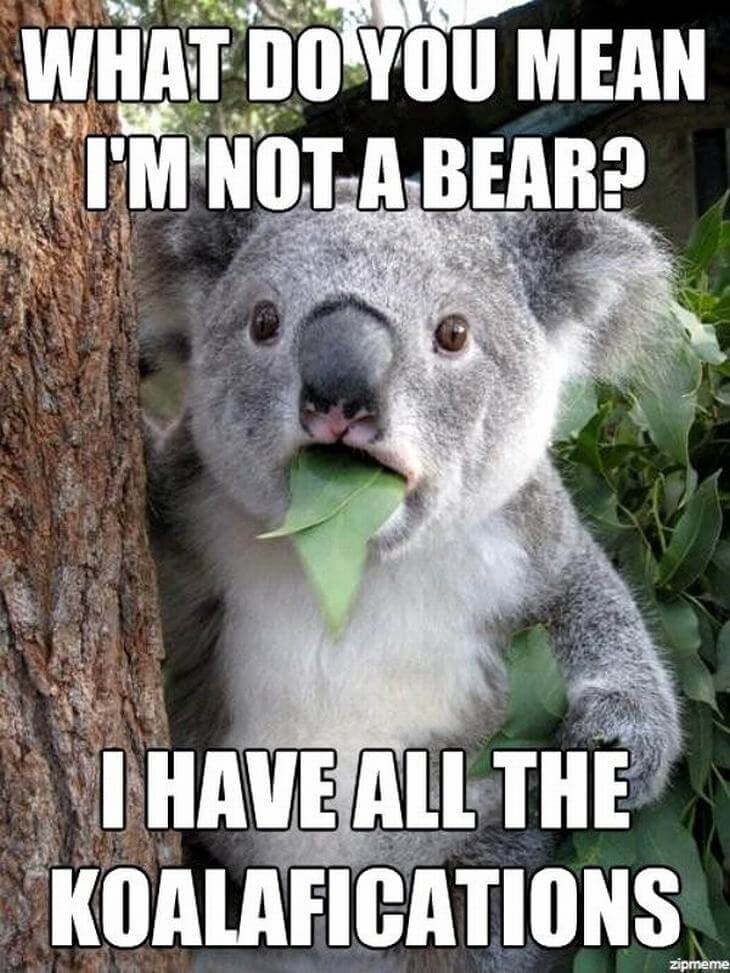 24 Animal Puns That Are So Funny They re Just Terrible 24-animal-puns-that-are-so-funny-they-re-just-terrible