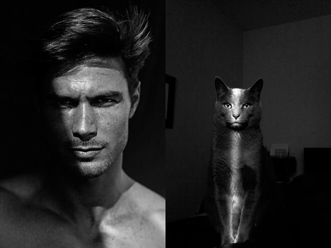 20 Cats Who Look Like Male Models To Make You Go Purrr