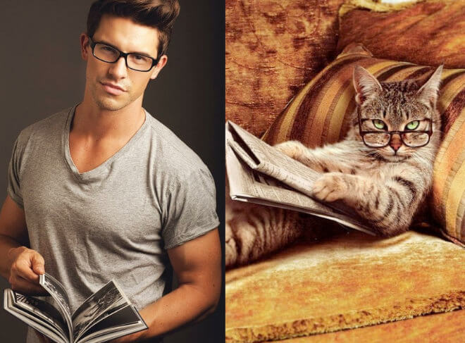 cats look like male models 14 (1)