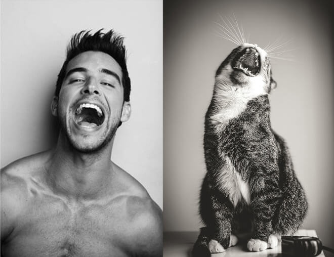 cats like male models 5 (1)