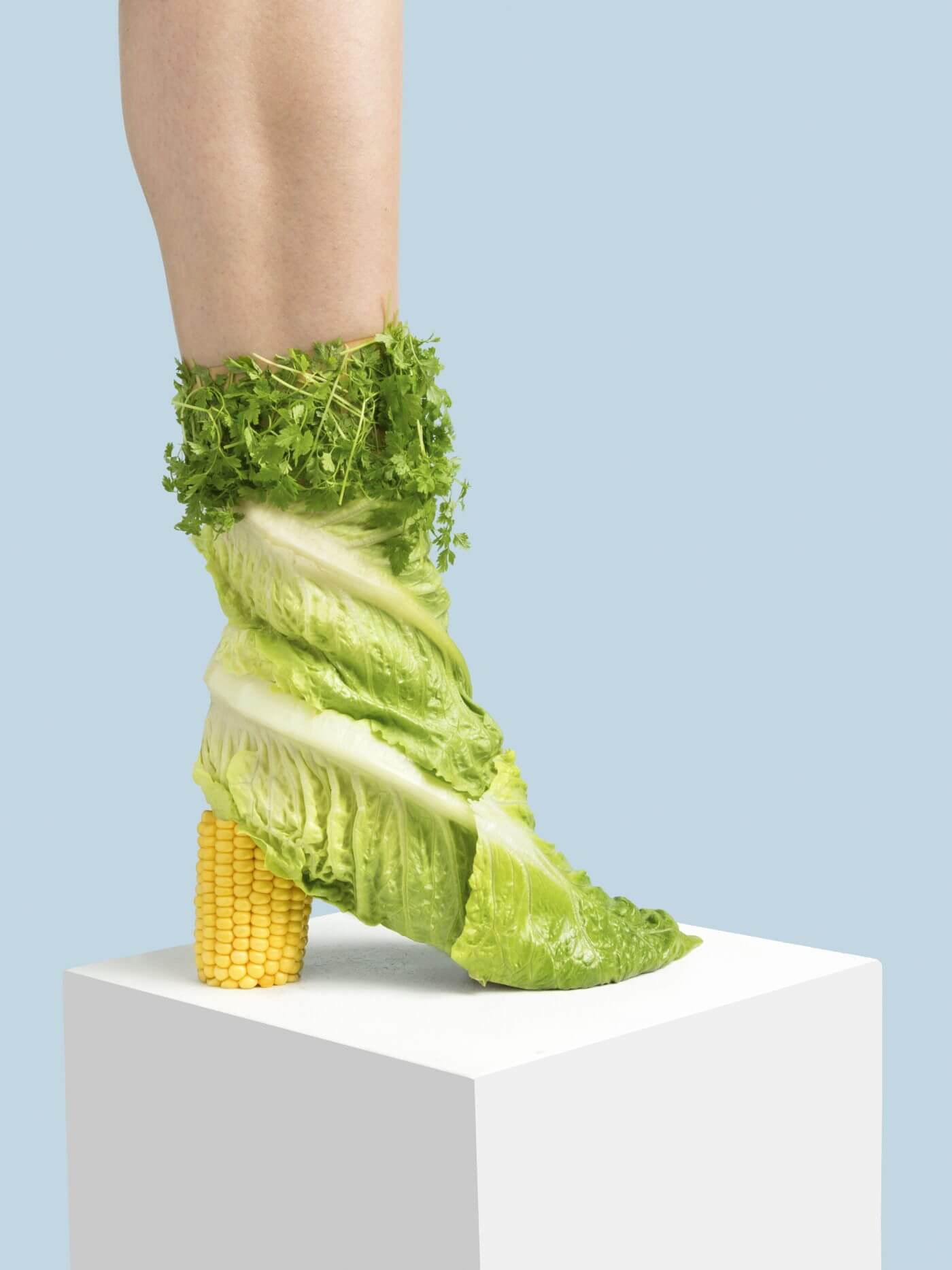 cabbage shoes