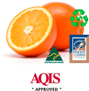 uses for orange peels 16 (1)