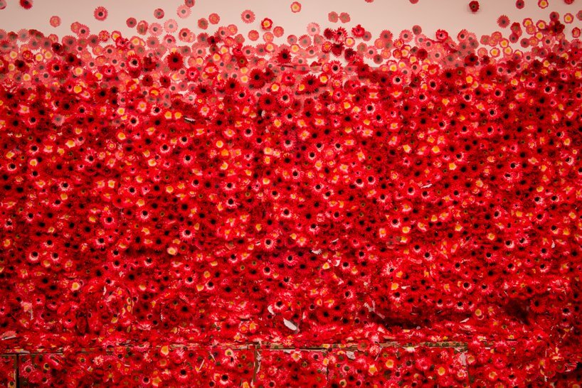 yayoi kusama’s flower obssesion 15 (1)