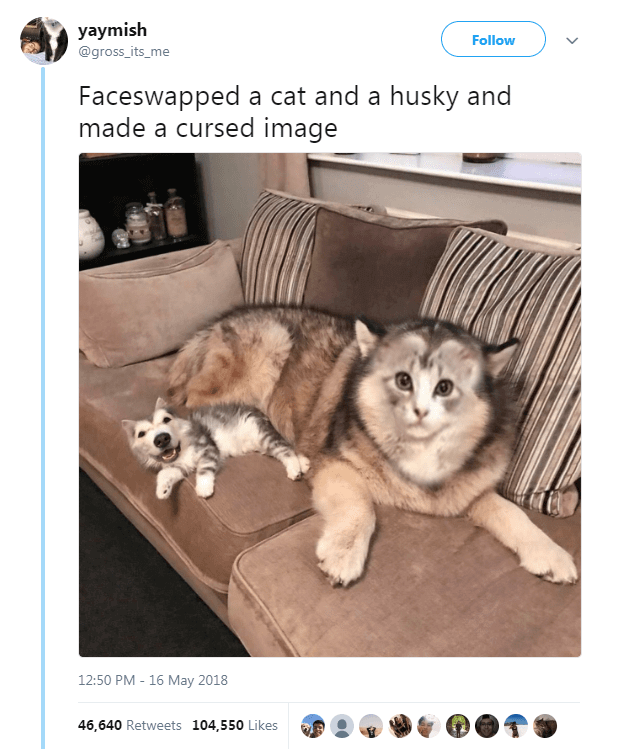 20 Funny Animal Tweets That Will Make Your Day Just a Little Bit Better