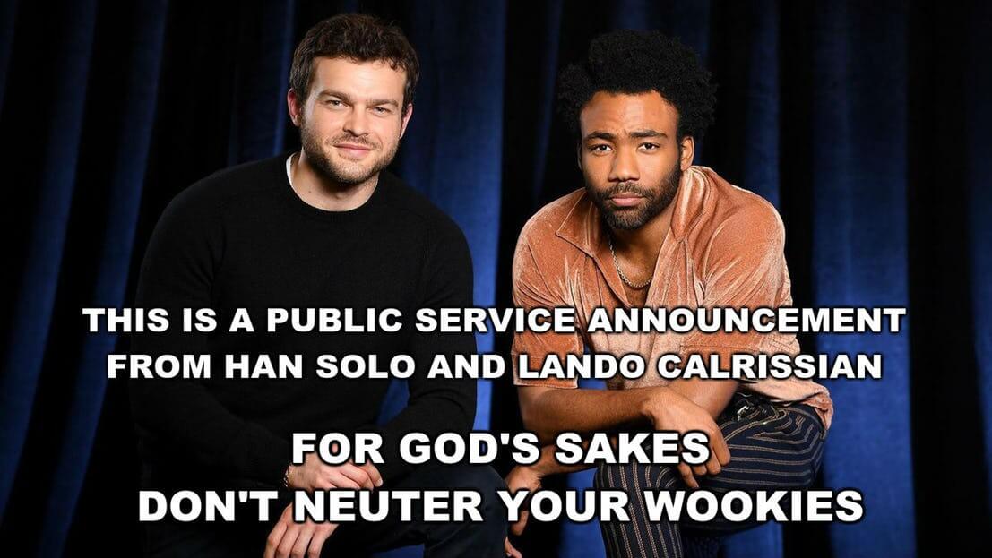 Solo And Lando Calrissian pictures 10 (1)