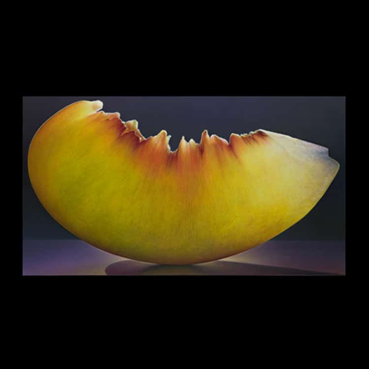 dennis wojtkiewicz detaild fruit paintings 14 (1)