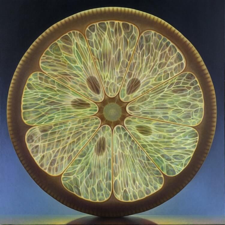 dennis wojtkiewicz detaild fruit paintings 9 (1)