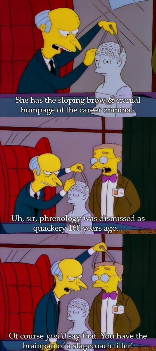 mr burns insults 23 (1)