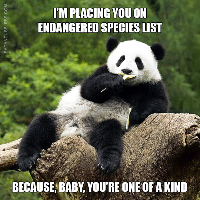 animal pick up lines 1 (1)