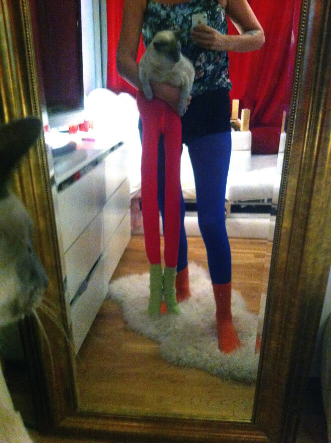 cats in tights 11 (1)