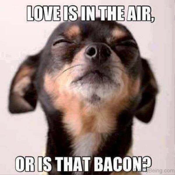 59 Funny Memes About Love That Will Make Her Laugh And Cry At The Same Time