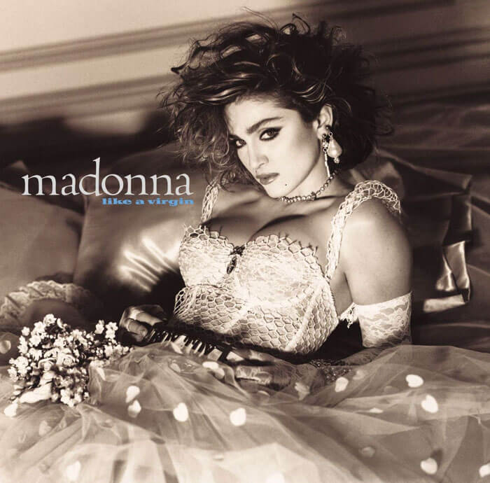 madonna album covers recreated by dog 4 (1)