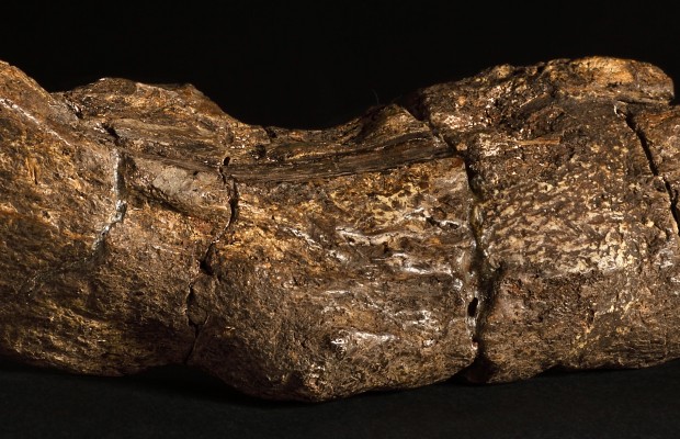 The Oldest Poo In The World. Yes, You've Read That Right!