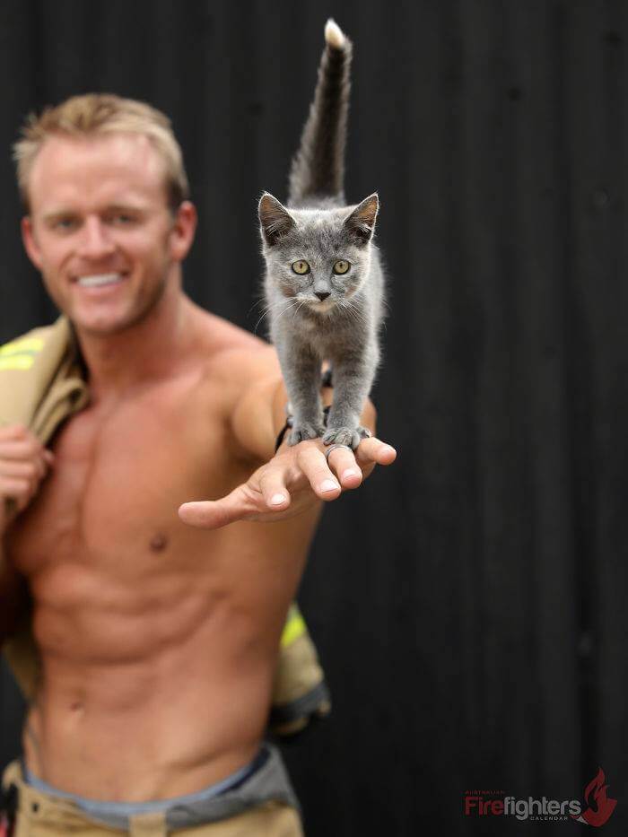 australian-firefighter-pose-with-animals-2019_4