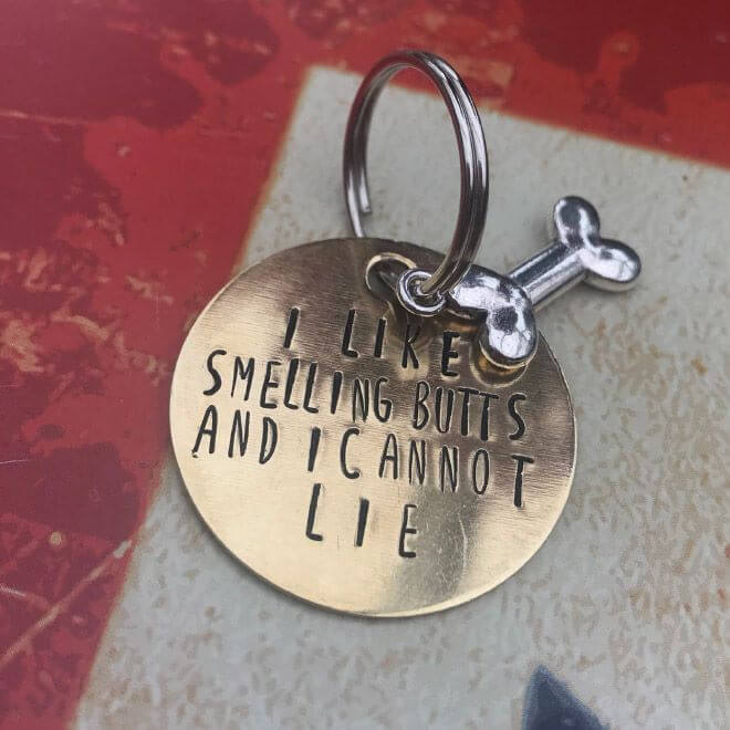 funny things to put on dog tag