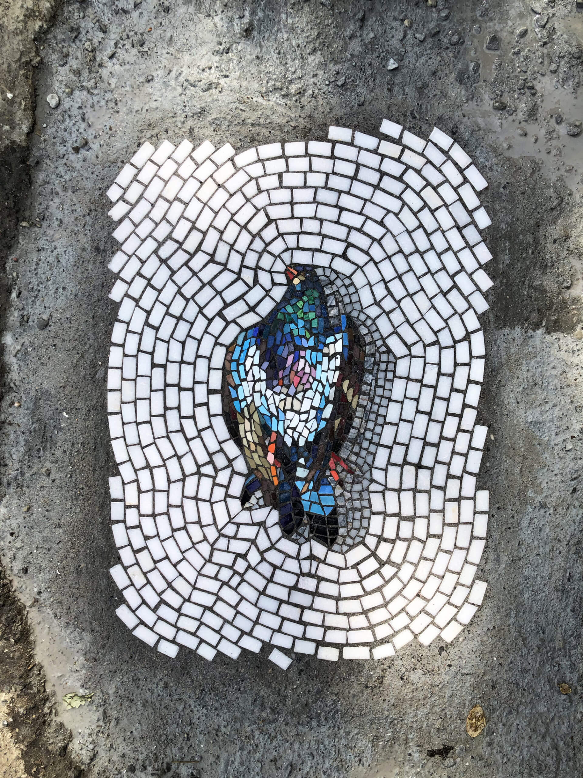 pothole-mosaics-Jim-Bachor2