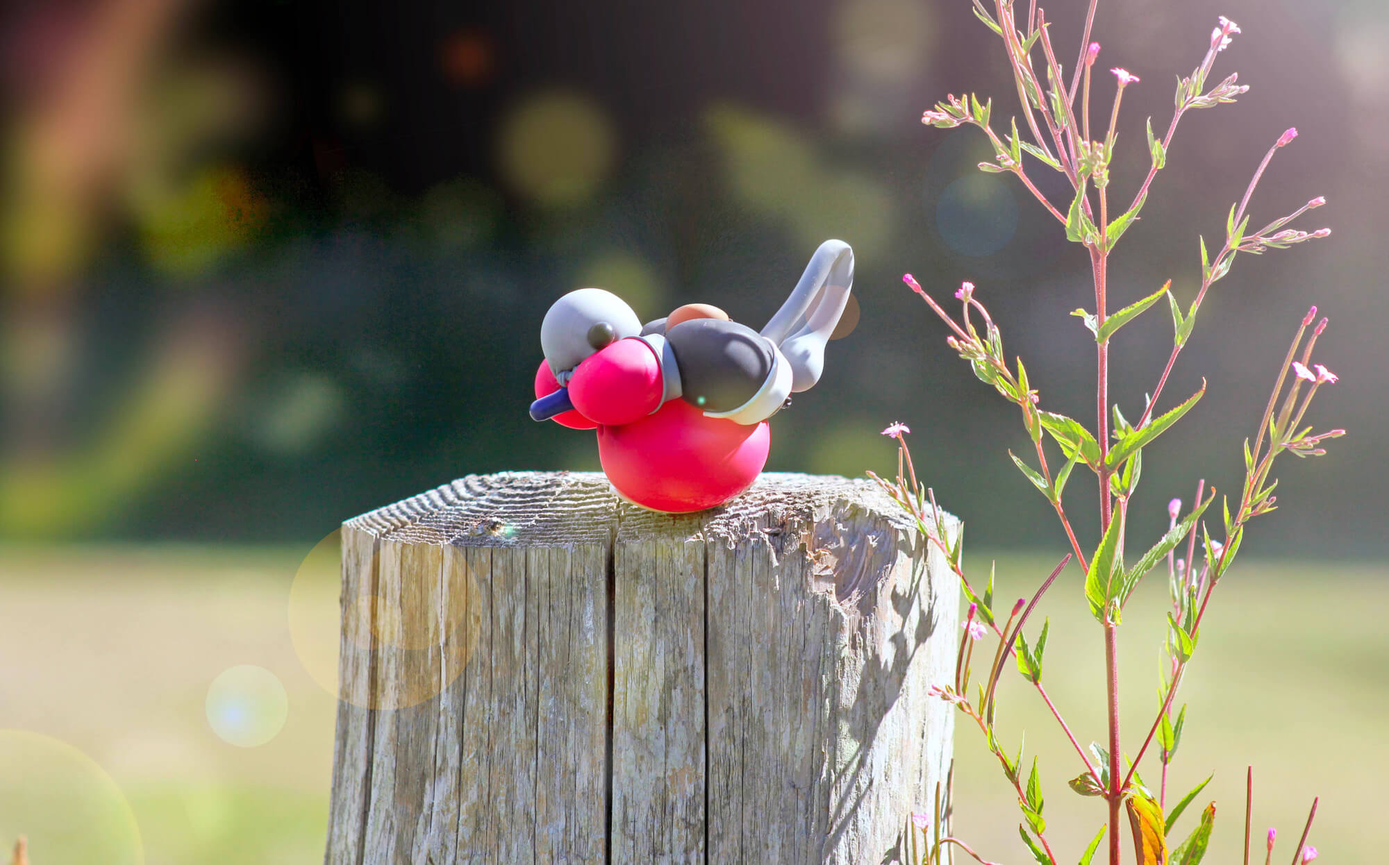 These balloon birds will trick you into thinking they re real