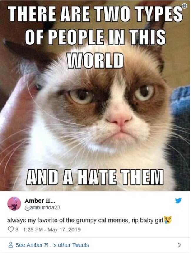 Grumpy Cat Is Gone, But Her Memes Will Live On