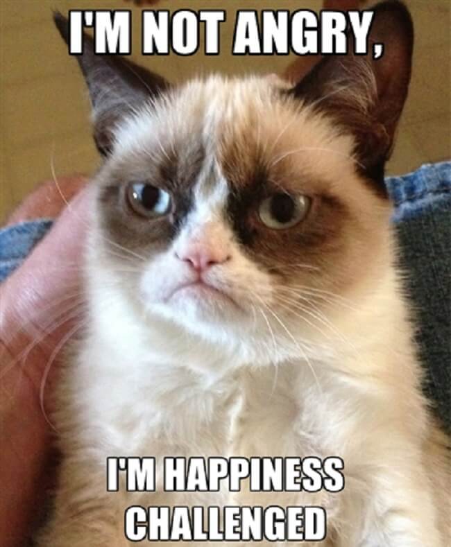 Grumpy Cat Is Gone But Her Memes Will Live On 