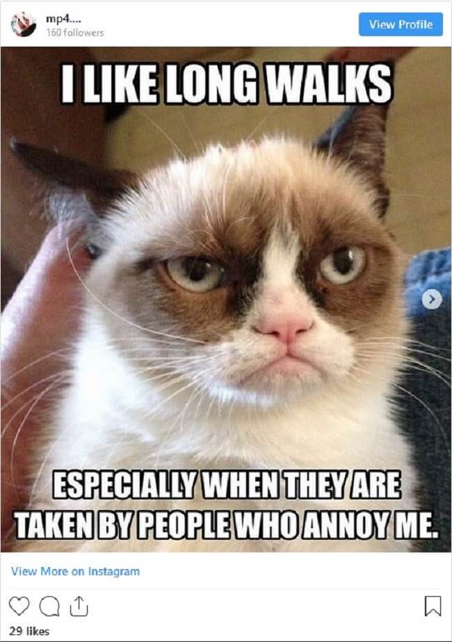 Grumpy Cat Is Gone But Her Memes Will Live On