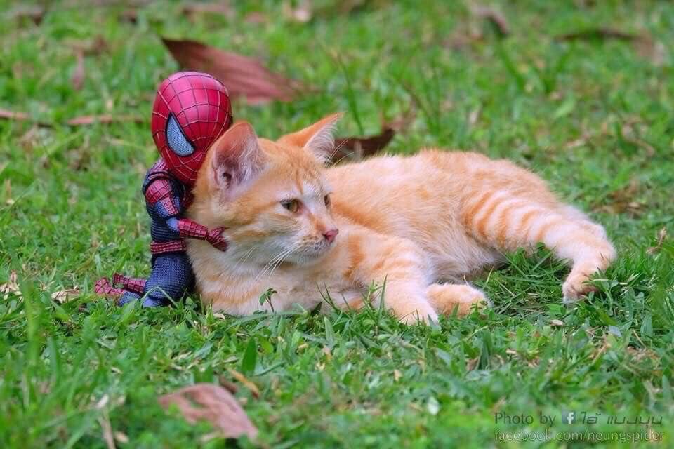 Spider-Man and his cute pals saving the world