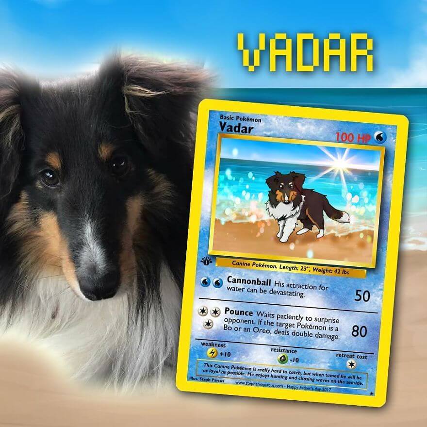 pets become pokemon cards