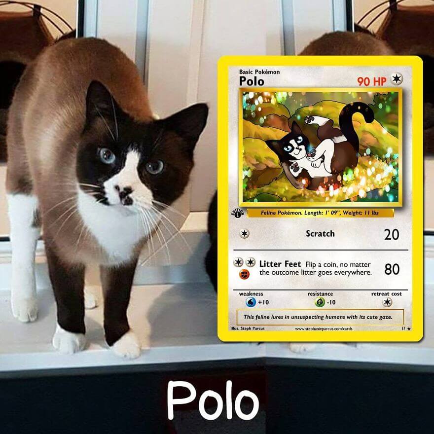 Pets Become Pokemon Cards Due To Artist S Imagination