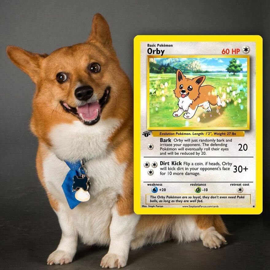 pets become pokemon cards