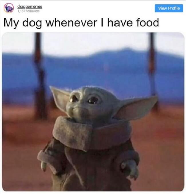 Baby Yoda Memes Have Taken Over The Internet