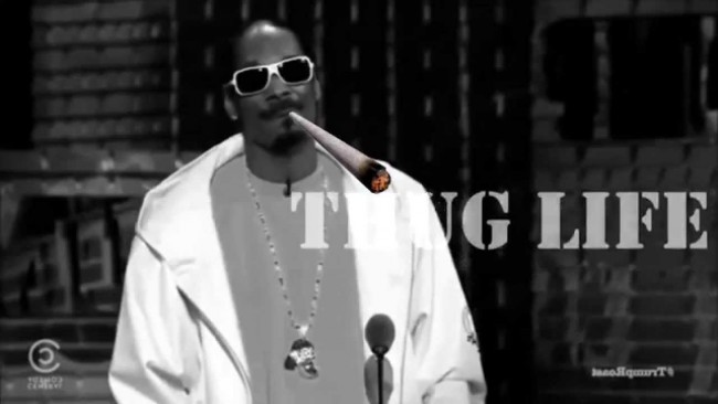 thug life sunglasses meme - snopp doggy dog