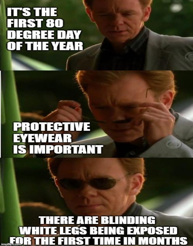 10 Puts On Sunglasses Memes That Will Make David Caruso Proud 