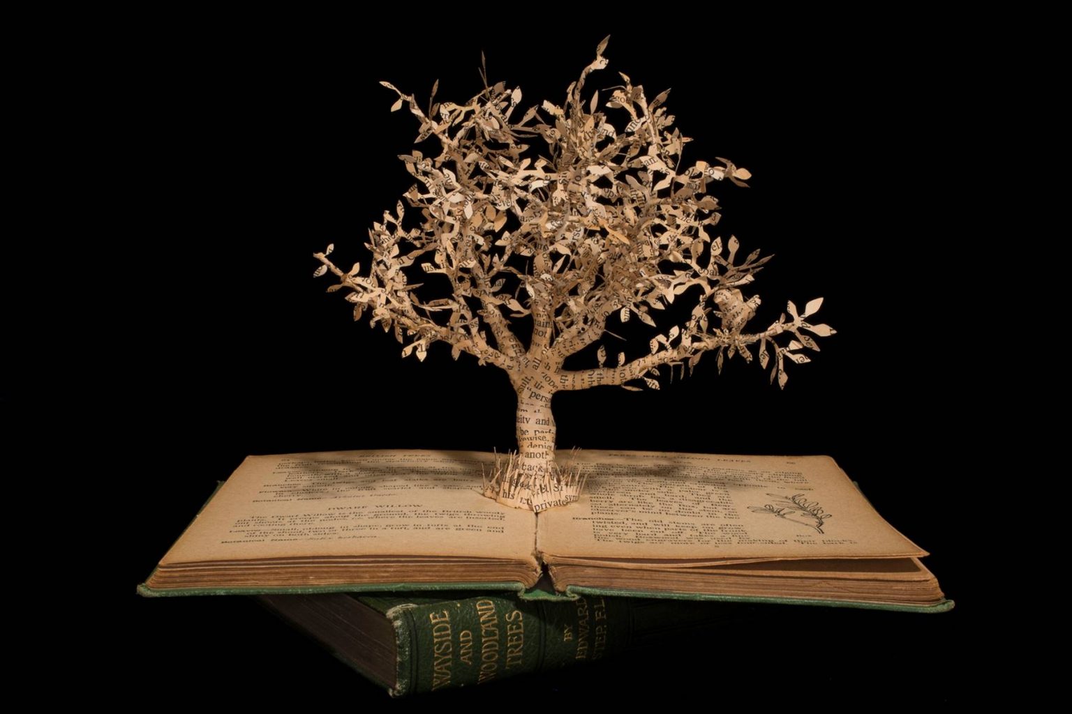 Artist creates incredible book sculptures from antique books paper