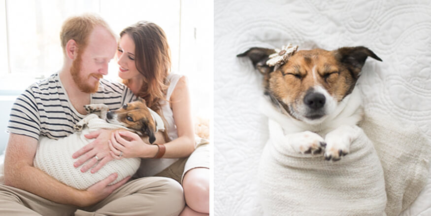 Weird Things Couples do With Their Dogs