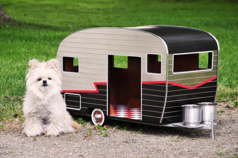 These Travel Trailer Dog Houses Will Give Your Dog the Luxury They Deserve