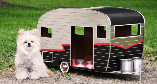 travel trailer dog kennel