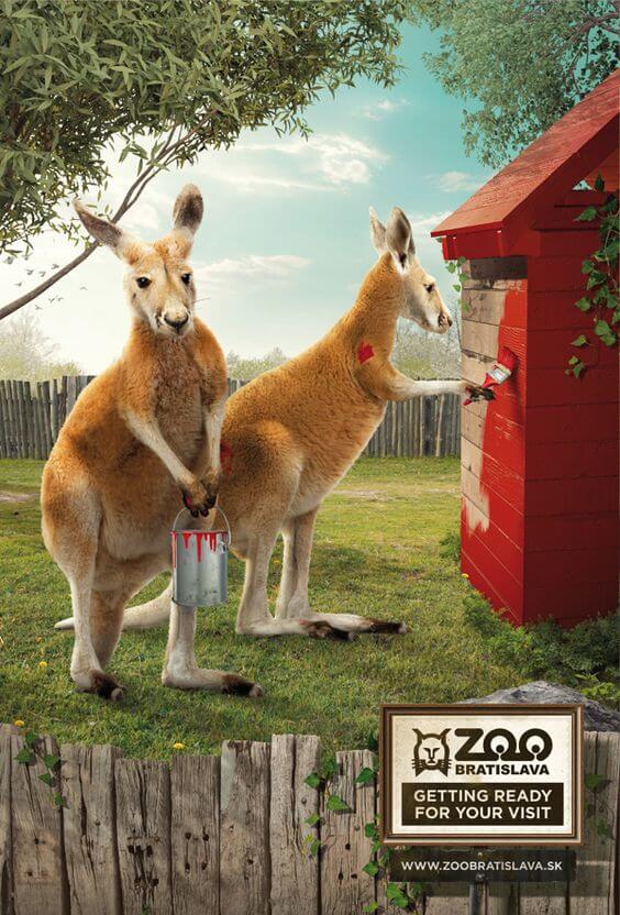 zoo advertisements 15 (1)