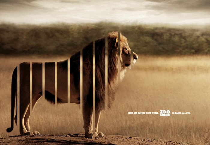 zoo advertisements 5 (1)