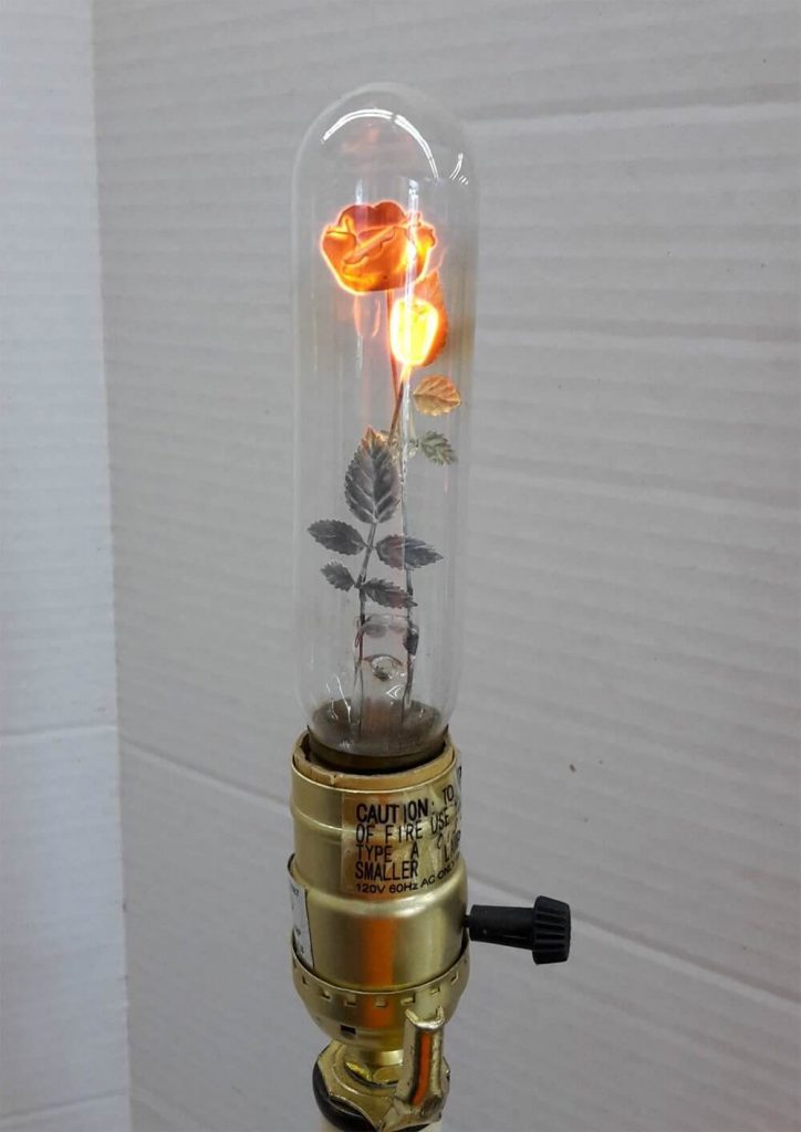 light bulb with rose inside