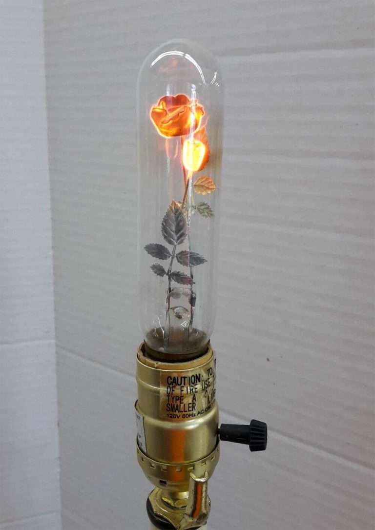 Vintage Light Bulb With Rose Inside by Aerolux Light Corporation is