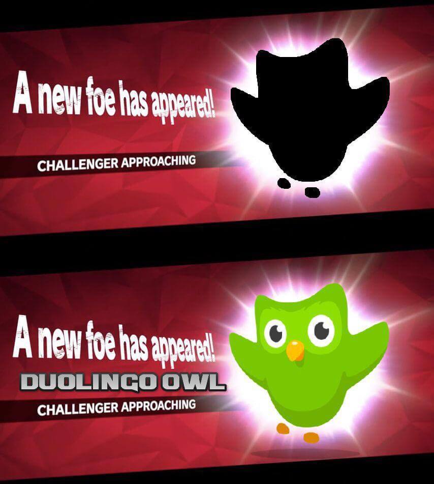 a challenger appears
