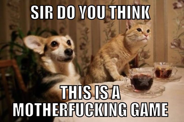 Do You Think This Meme Is a Game Info and 15 Hilarious Examples - Thanksgiving Bills Game Cat Meme