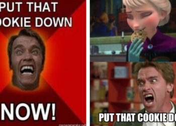 Put That cookie Down NOW Meme and Why We Love it so Much