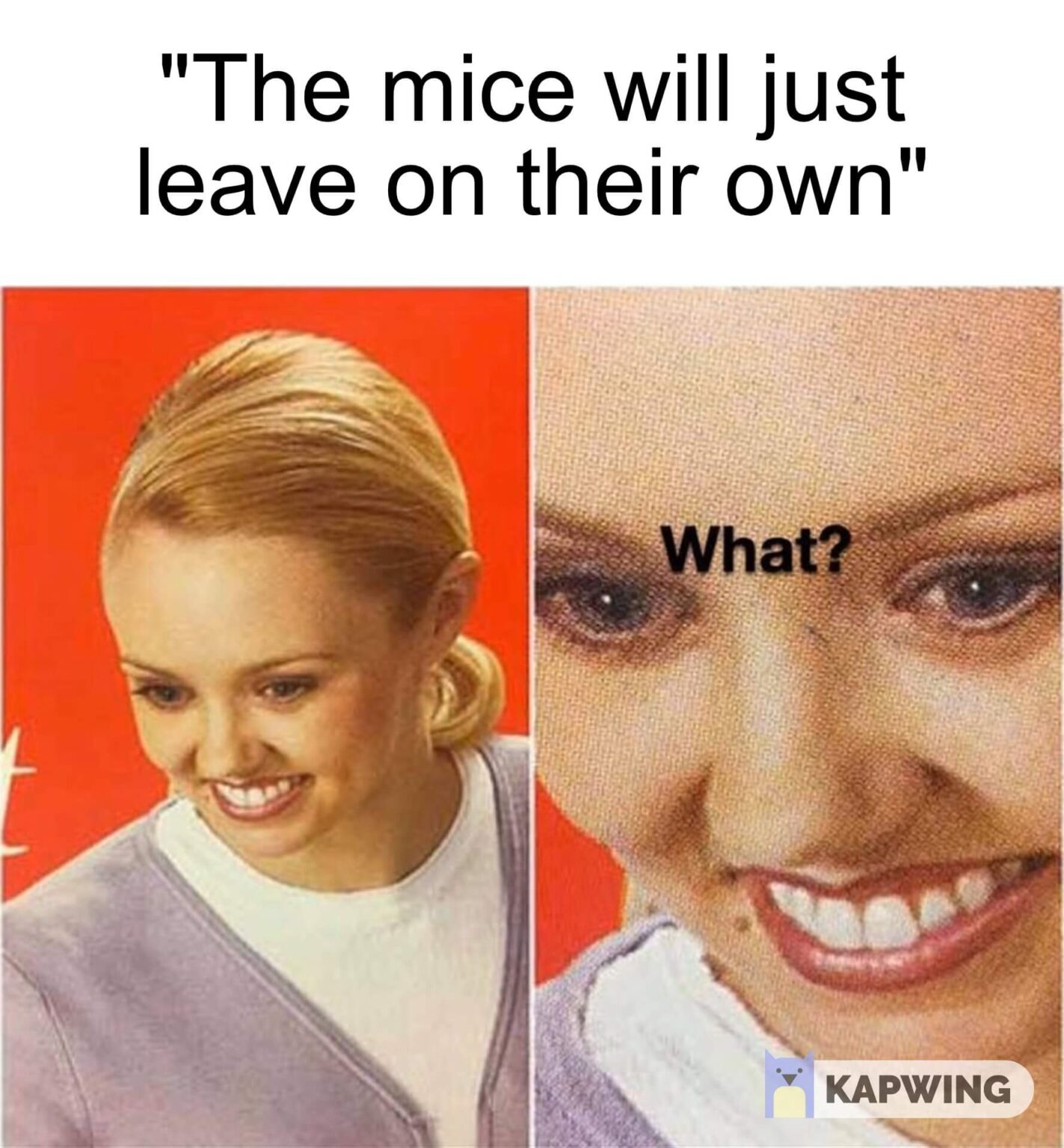 Funny Carpet Cleaning Memes Diy Memes Jent Slith1958