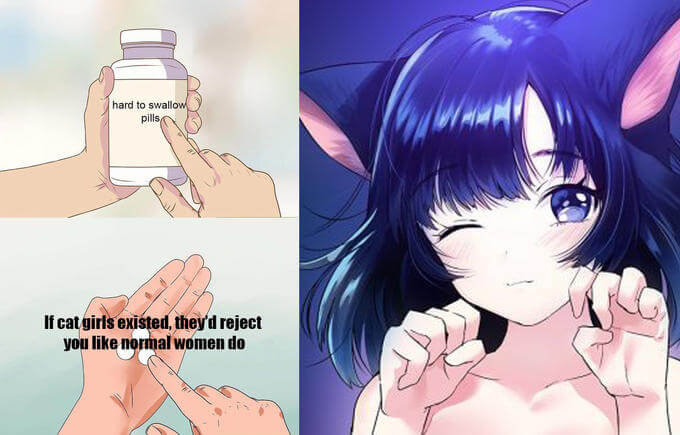 Hard to Swallow Pills meme example