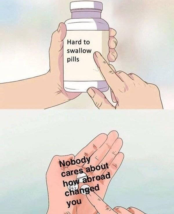 Hard to Swallow Pills meme example