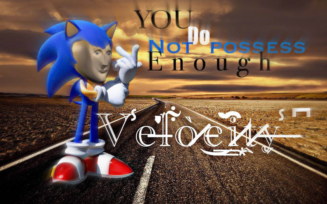 You're Too Slow Sonic the Hedgehog Meme