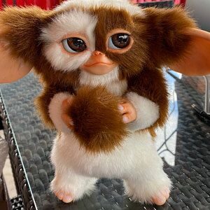 Facts About Gremlins