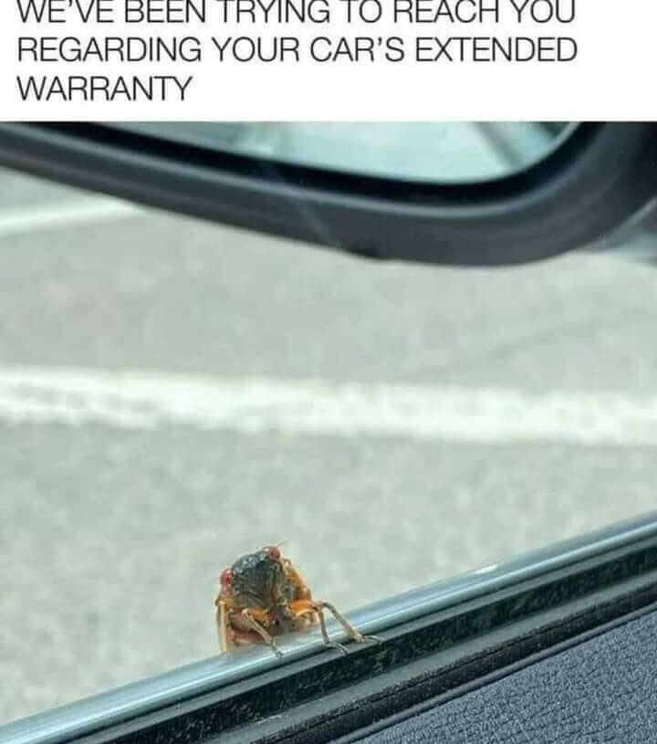 Your Car's Extended Warranty Meme 