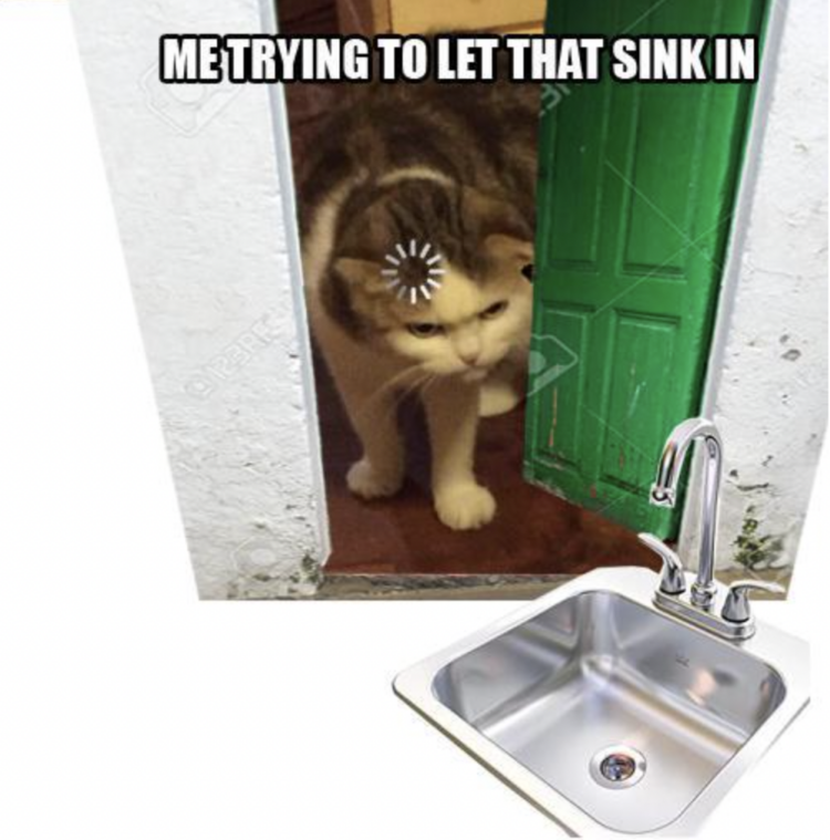 21 Let That Sink In Memes That Had Us Laughing