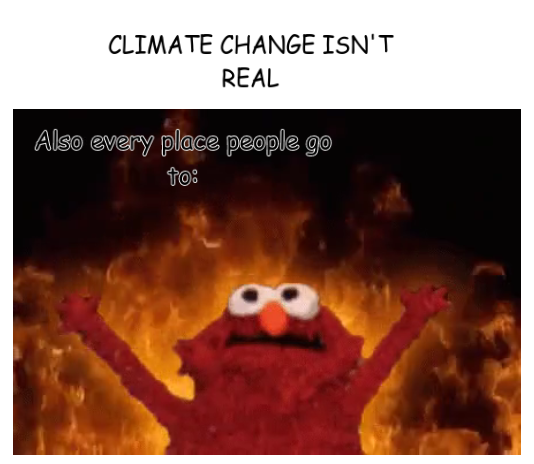 24 Elmo Fire Meme Pictures That Will Make The World Burn